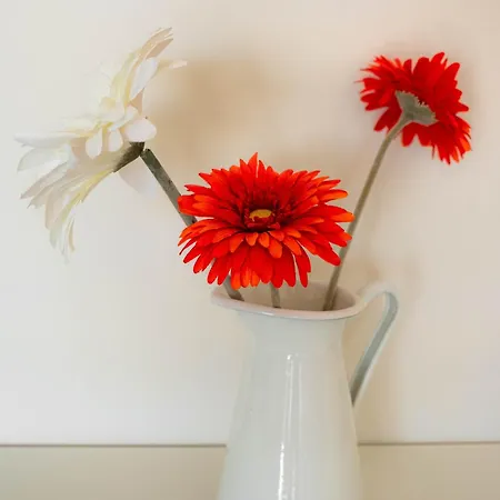 Lägenhet Lovely View Portimão