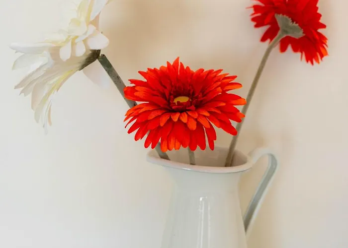 Апартаменты Lovely View Портиман